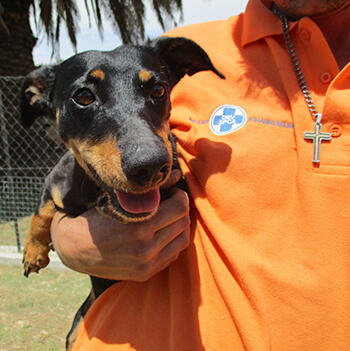 spca-profile (1)